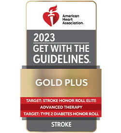 Get With The Guidelines®-Stroke Gold Plus with Target: Stroke Honor Roll Elite, Advanced Therapy and TT2D Honor Roll