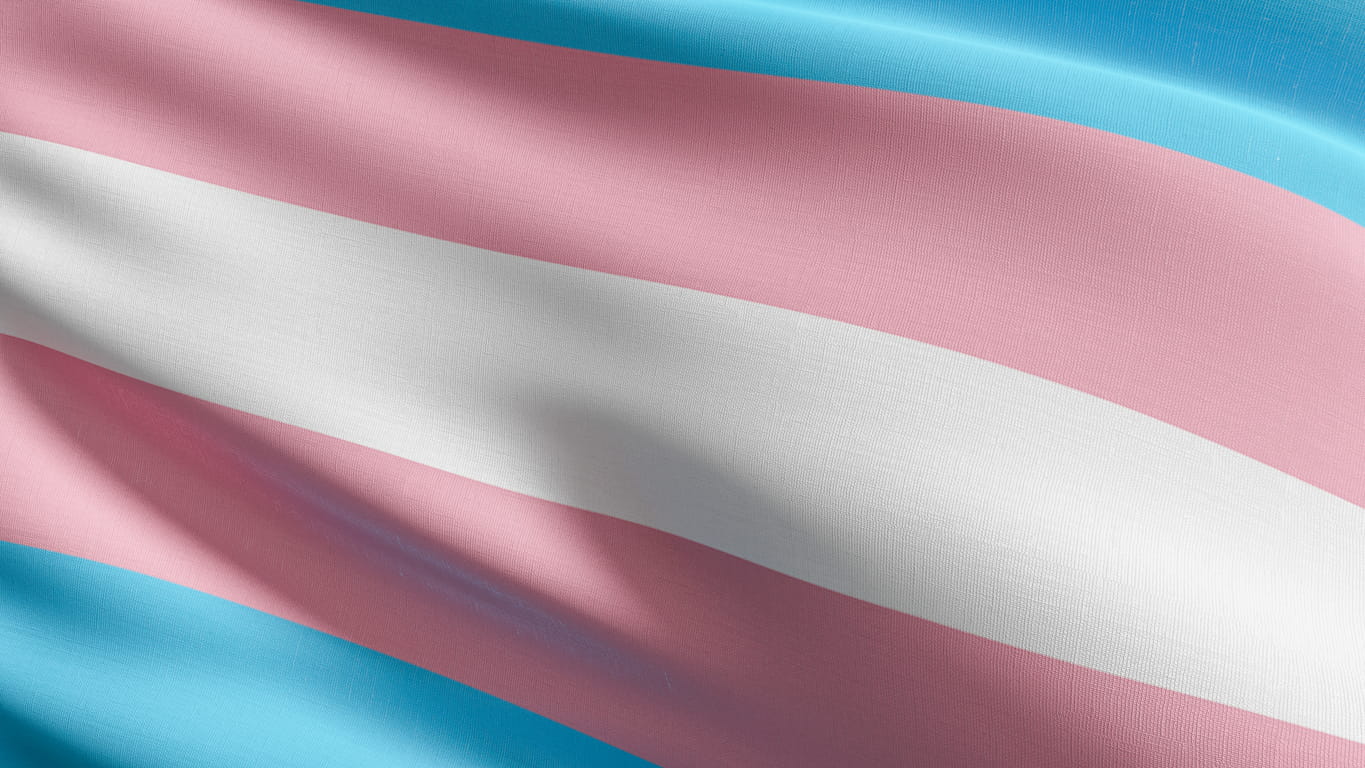 transgender flag